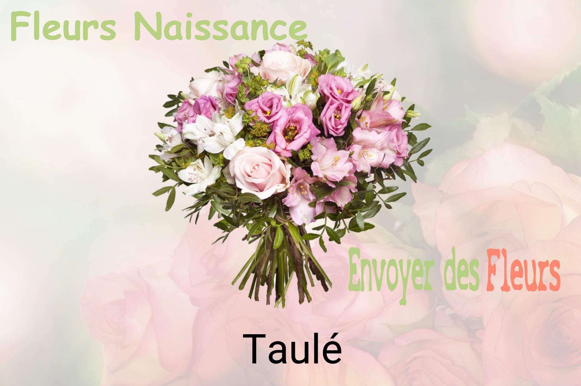 Bouquet de fleurs de naissance livré à Taulé